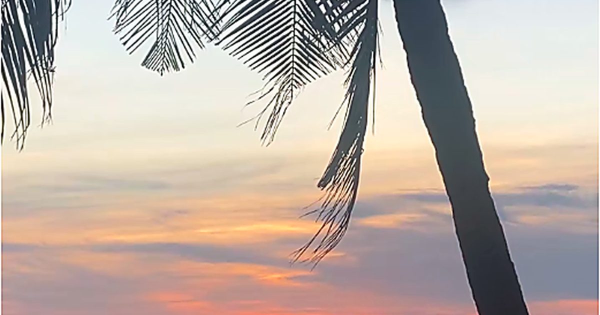 3 Days in Phu Quoc if You Stay in Central Phu Quoc