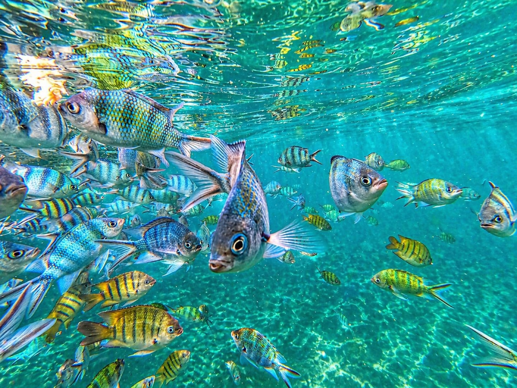 Lunch and beach time on the 3 Island Tour